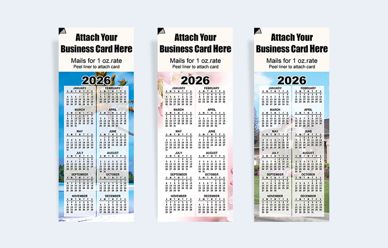  Real Year at a Glance Calendars